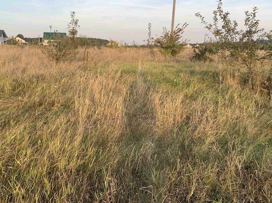 Продаж земельної ділянки під житлову забудову в селі Щітки фото 1