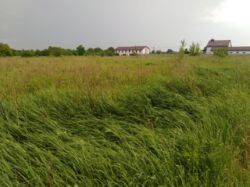 Продам земельну ділянку під забудову в Якушинцях фото 9