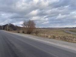 Продаж земельної ділянки сільськогосподарського призначення у Ксаверівці фото 10